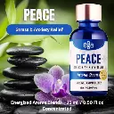 peace.webp