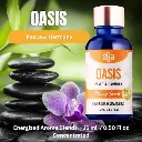 oasis.webp