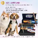 AMwand_Both_Animal_Web_1000x.webp